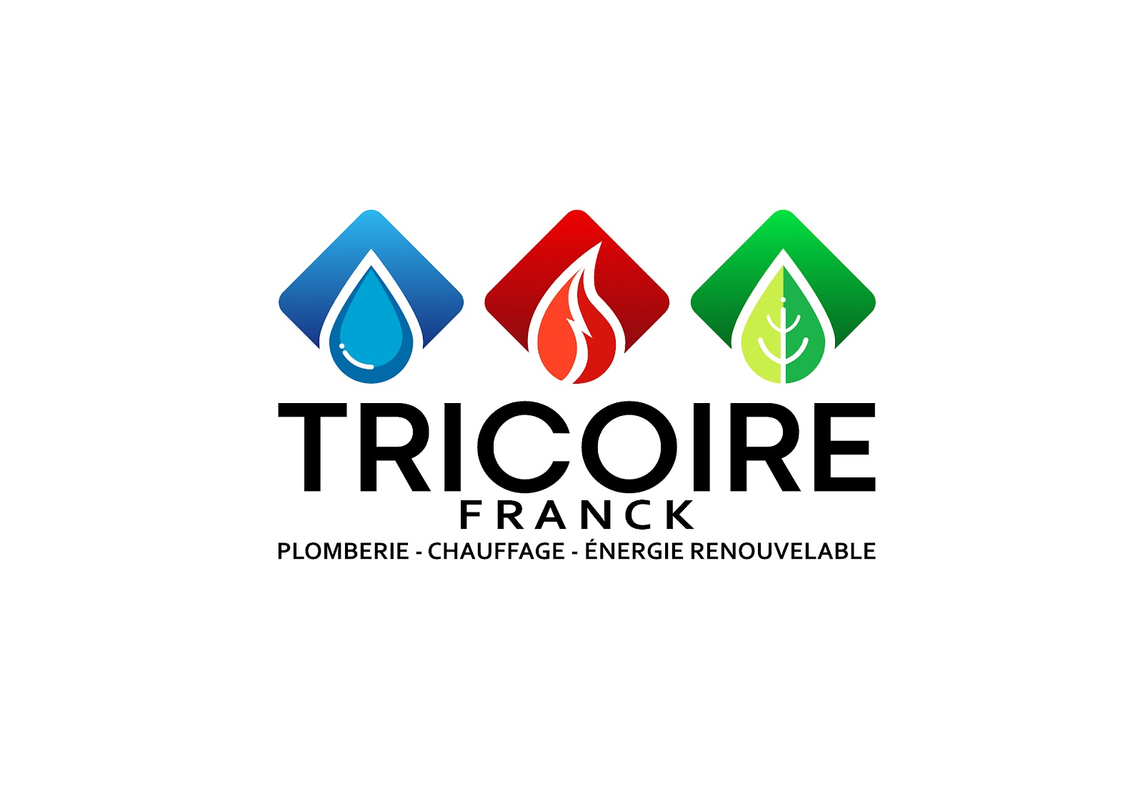 Logo de S.A.R.L. TRICOIRE Franck